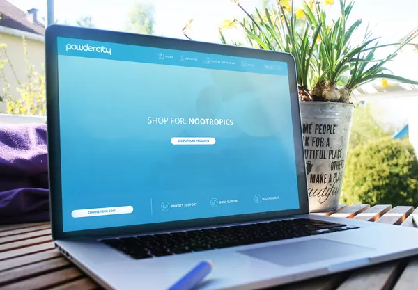 PowderCity – Website Design